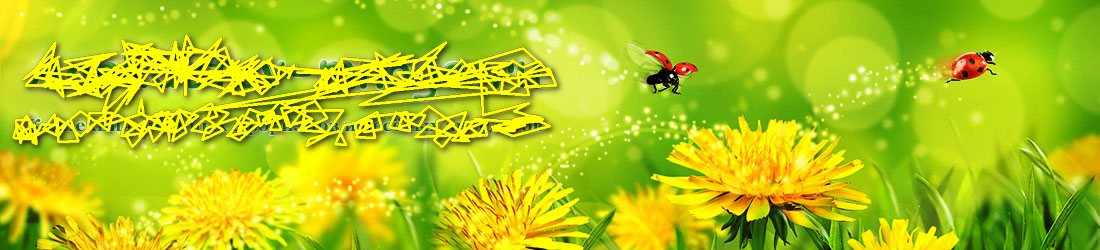 ����� ������ ���������, ������ ����� �������